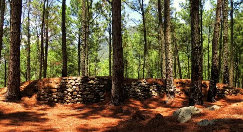 Remains of Ancient Haldummulla Fort, Sri Lanka